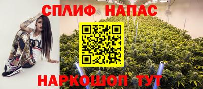 сатива Заводоуковск
