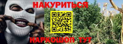 сатива Заводоуковск