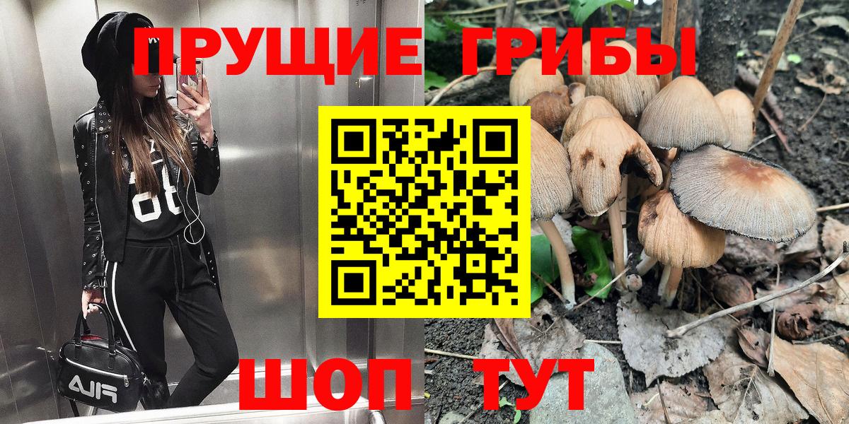 Псилоцибиновые грибы GOLDEN TEACHER Ликино-Дулёво