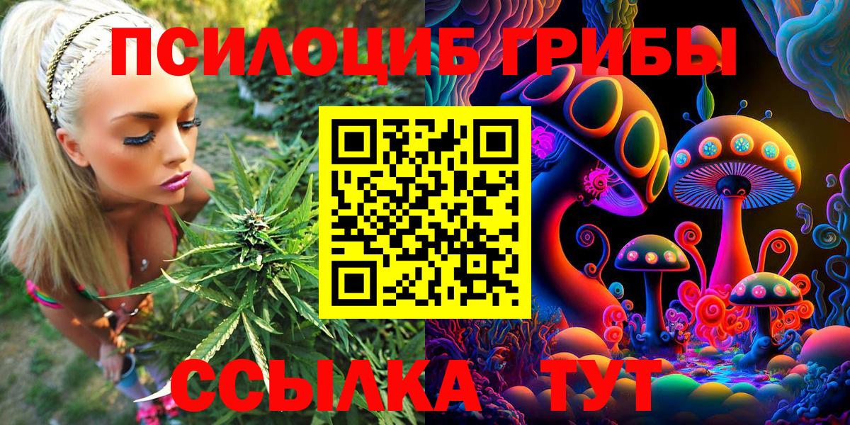 Псилоцибиновые грибы MAGIC MUSHROOMS  Вход с VPN  Ликино-Дулёво 